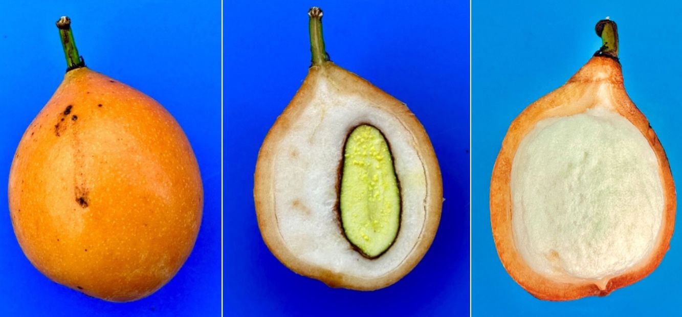 Ripe, whole, and sectioned achachairú fruit. 