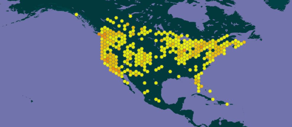 The map above shows the documented distribution of Bembix americana Fabricius in the Western Hemisphere. Darker yellow to orange coloration indicates higher densities or more reports of documented occurrence within a given area. 