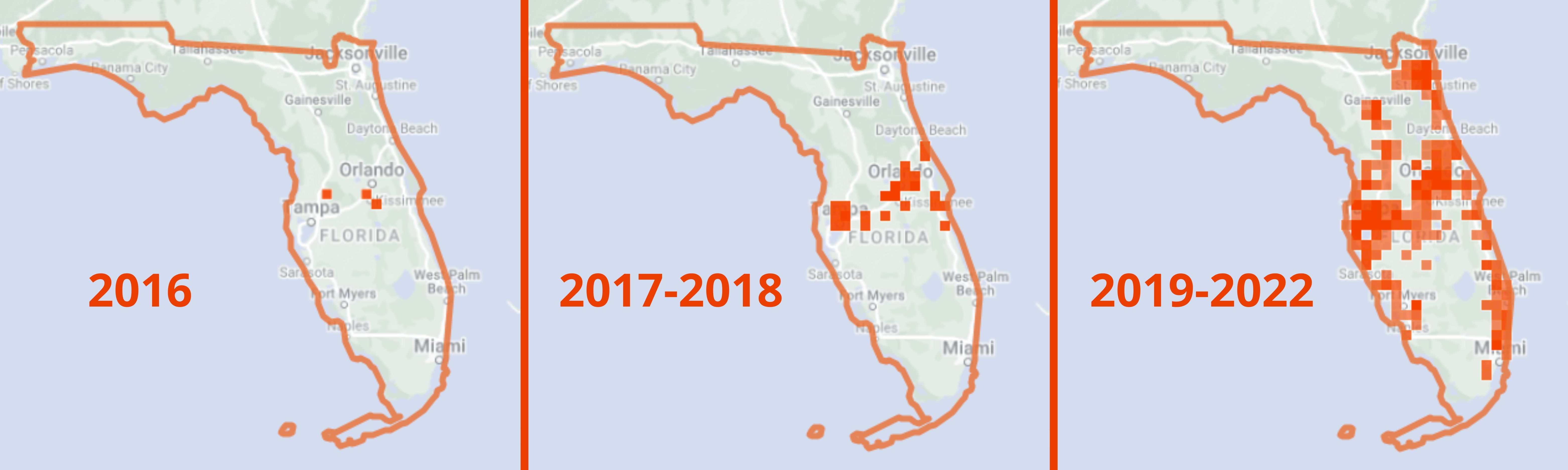 Maps of Florida depict the expanding range of Marasmius vagus since its discovery in Florida in 2016. Distribution data were obtained from iNaturalist and document range expansion to the north and south, as well as the steadily increasing number of observations of Marasmius vagus in 2016 (left), 2017–2018 (middle), and 2019–2022 (right). 
