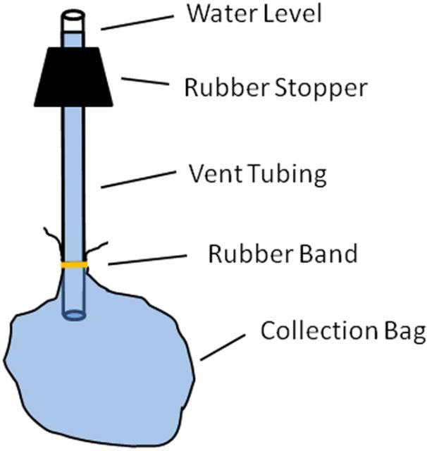 Figure 3. The collection bag assembly with the vent tube inserted through the rubber stopper and attached to the collection bag that has been purged of air.