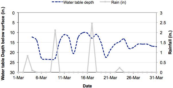 Figure 2. Daily water table and rainfall depth for grower-average system during the first month after watermelon seedling were transplanted (2/21/2005).