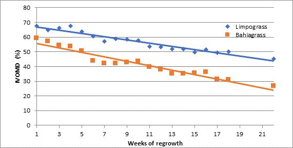 Figure 4. Decline in Pensacola bahiagrass and Floralta limpograss in vitro organic matter digestibility (IVOMD) by weeks of regrowth. Adapted from Carvalho (1976).