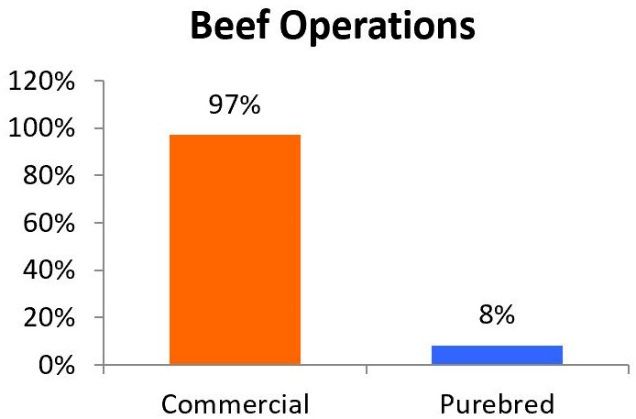 Distribution of commercial and purebred beef operations. 