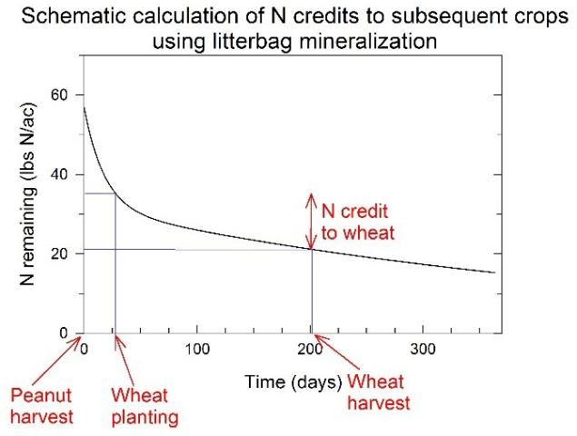 Schematic calculation of N credits using litterbags. The difference between the amount of N remaining at two different time points is the amount released during that time.