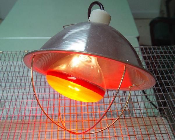 Figure 2. Heat lamp.