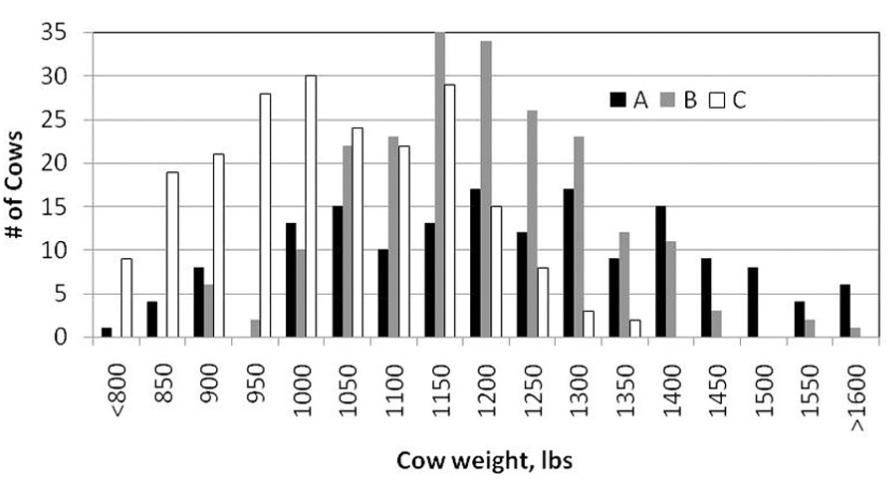 Figure 1. Distribution of cow weight in three example cow herds.
