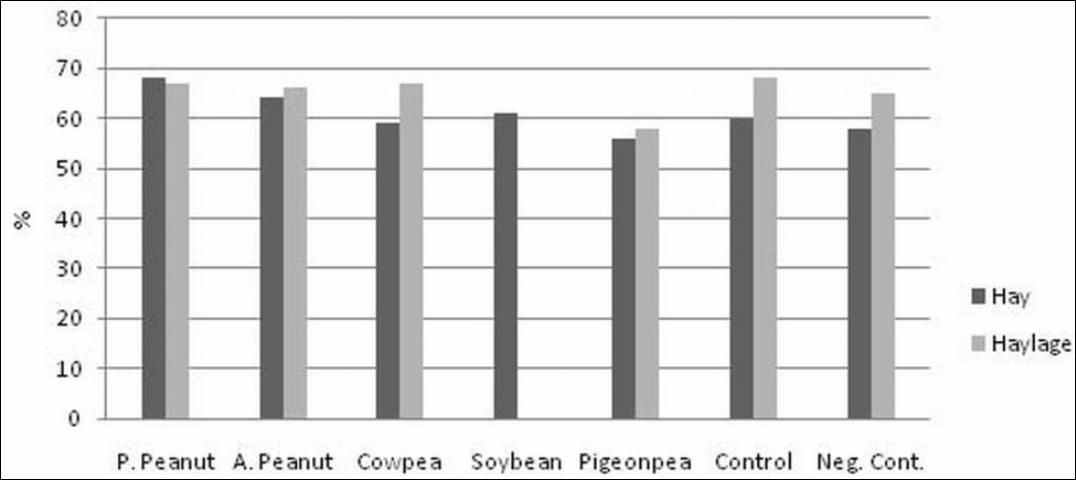 Figure 5. Diet dry-matter digestibility by lambs fed a bahiagrass hay or haylage diet supplemented with warm-season legume hays or haylages, soybean meal (control), or no supplement (negative control) (%, dry matter basis).