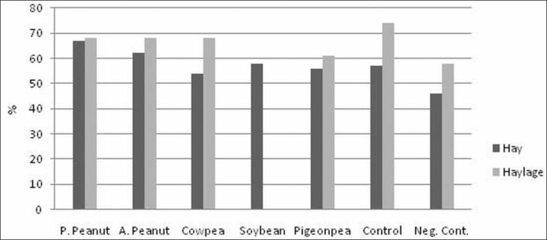 Figure 6. Diet crude-protein digestibility by lambs fed a bahiagrass hay or haylage diet supplemented with warm-season legume hays or haylages, soybean meal (control), or no supplement (negative control) (%, dry-matter basis).