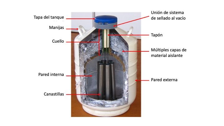 Estructura interna del Tanque de nitrógeno líquido. 