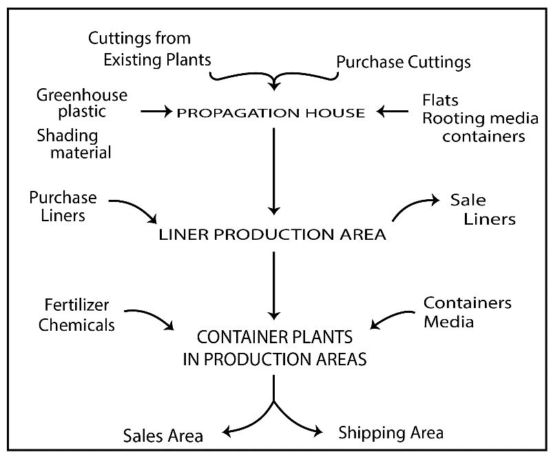 Activities, inputs, and outputs flow diagram during plant production. 