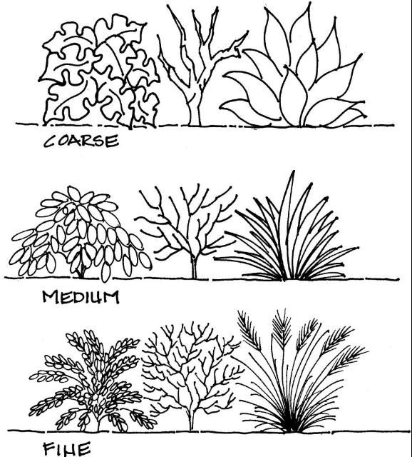 Figure 7. Coarse, medium, and fine textures in foliage, branching, and blades.