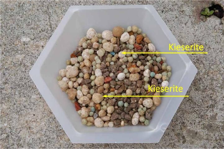 Figure 1. A sample of an 8-2-12-4Mg landscape palm fertilizer showing the conspicuous granules of kieserite, a slow release form of magnesium sulfate.