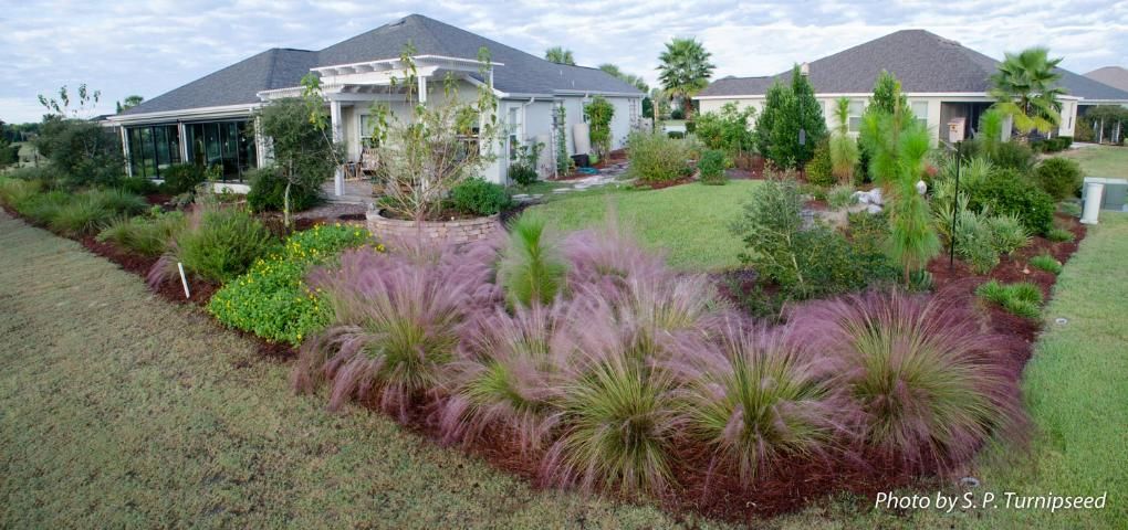 Figure 13. The same yard with a Florida-Friendly landscape with a variety of plants and a small turf area.