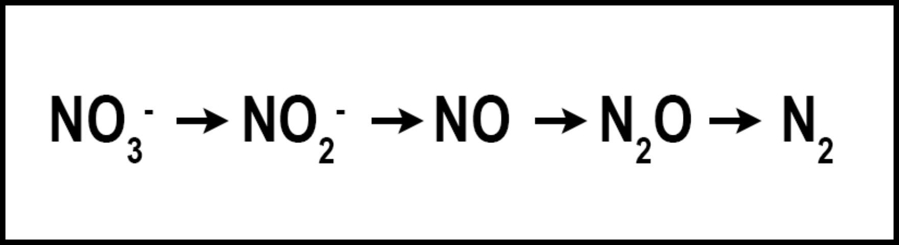 Figure 3. Denitrification - NO3-N is subject to reduction by soil microbes, leading to N2.