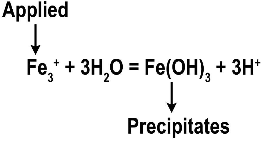 Figure 2. Iron applied to soil rapidly oxidizes and becomes unavailable for plant uptake.
