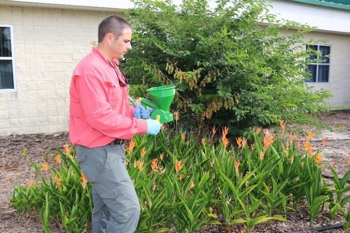 Figure 2. When applying herbicides, be sure to walk at the same pace through the treatment area to ensure even applications.