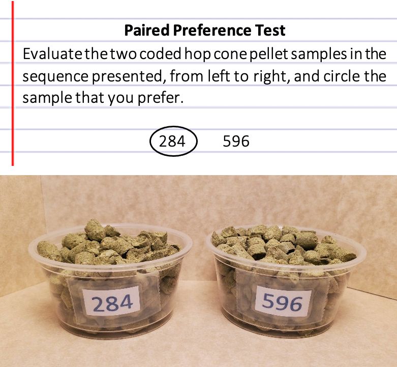 Paired preference test example using pelletized hop cones. 