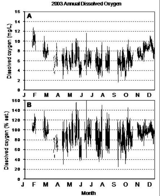 Figure 1. Example of annual dissolved oxygen fluctuation at the Gulf Jackson lease area, Levy County, Florida, in 2003. Dissolved oxygen is shown as A) mg/L, and B) % saturation. During 2003, temperature fluctuated from 4°C (39.5°F) in January to 35°C (94.5°F) in July. As a consequence, graph A and B look different.