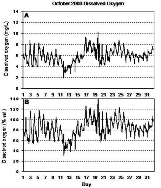 Figure 2. Example of monthly dissolved oxygen fluctuation at the Gulf Jackson lease area, Levy County, Florida, in October 2003. Dissolved oxygen is shown as A) mg/L, and B) % saturation. During the month of October, temperature fluctuated by only 6°C (10.8°F) and, therefore, the variation in % saturation due to temperature change was relatively small. As a consequence, graph A and B look similar.