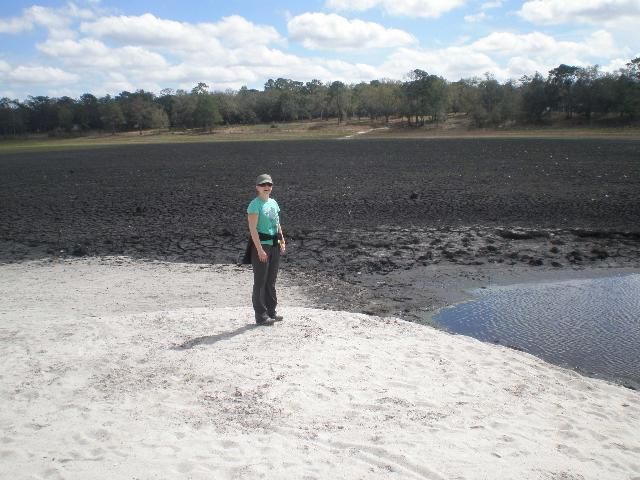Figure 4. Susanna Blair stands on the shore of Little Lake Johnson, Mike Roess Goldhead Branch State Park, near Keystone Heights, Florida. Following several years of low rainfall, the lake dried nearly completely in 2012, exposing the organic-rich sediment that had accumulated on the lake bottom. The following year, the lake again filled with water, covering the thick mud deposit.