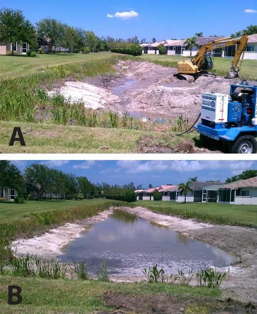 Figure 9. Picture of retention pond in Boynton Beach, Florida, before (a) and after (b) a small-scale dredging operations.