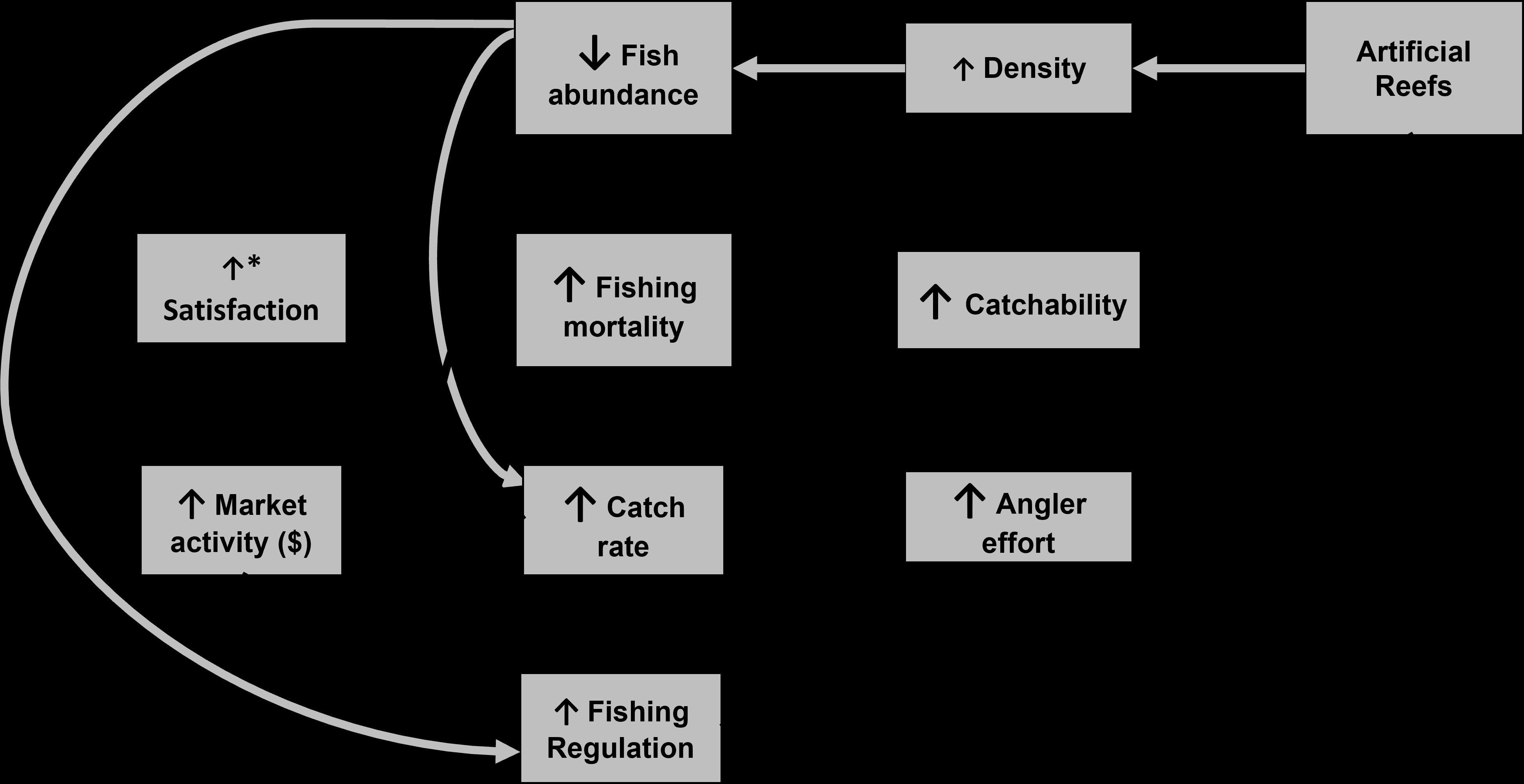 Example of how artificial reefs can attract fish without increasing overall fish abundance and increase effort and catchability. This would result in greater catch rates initially. However, this may lead to increases in fishing mortality, which would decrease fish abundance and possibly lead to stricter fishing regulations. The grey arrows are fish effects, and the black arrows are fisher effects. The up arrows in the boxes show an increase in a metric and the down arrow shows a decrease in a metric. The up arrow in satisfaction has an asterisk because this increase in satisfaction may be temporary until stricter regulations are imposed in the future.