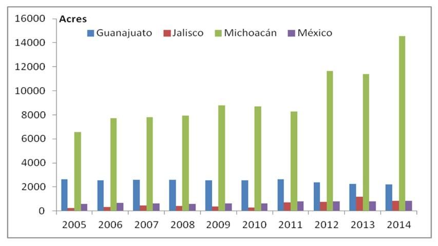 Figure 2. Strawberry planted acreages in four states of Central Mexico, 2005–2014 (Source: Agrifood and Fisheries Information Service of Mexico 2016).