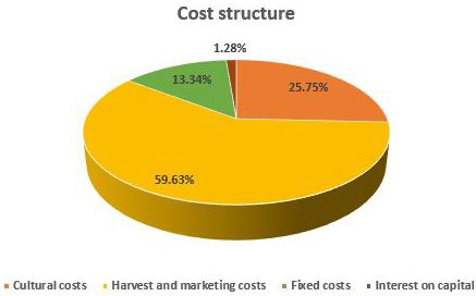 Figure 1. Proportion of costs.