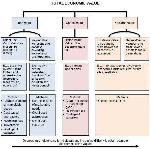 Figure 5. Examples of ecosystem services and components of their total economic value (Sources: based on Scottish Government (2004) and Boateng (2010)).