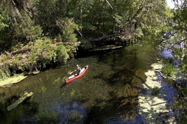 Figure 2. A kayaker on the Ichetuknee River, which is fed by Ichetucknee Springs.