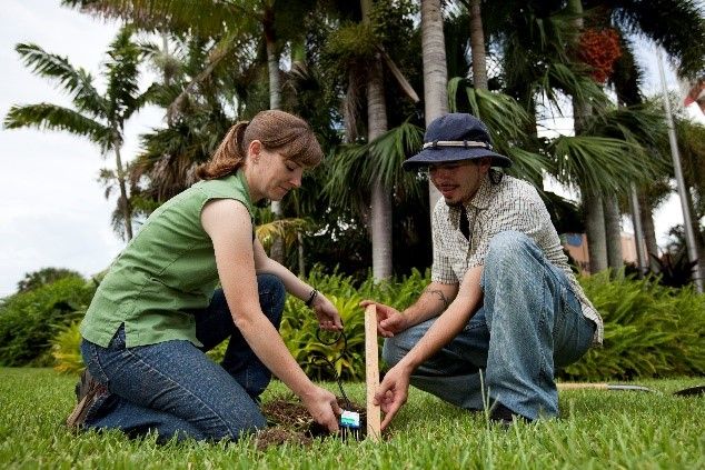 Figure 1. UF/IFAS researchers install a smart irrigation sensor to detect rainfall and soil moisture.
