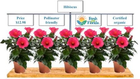 Figure 1. Example image demonstrating the plant scenarios and above-plant signage used in Study 1.