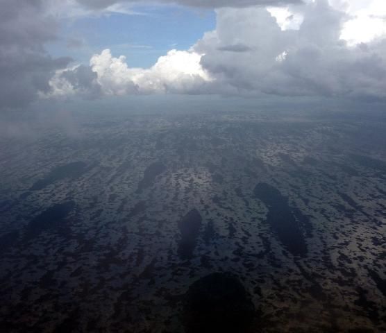 Figure 4. Everglades, a view from a plane (Credit: Tatiana Borisova)