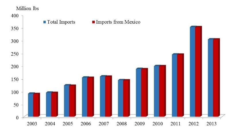 Figure 10. US total strawberry imports and imports from Mexico, 2003–2013 [Source: USCB (2014)]