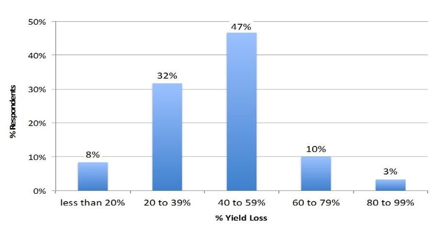 Figure 4. Reported percentage of yield loss attributed to HLB by citrus industry survey respondents