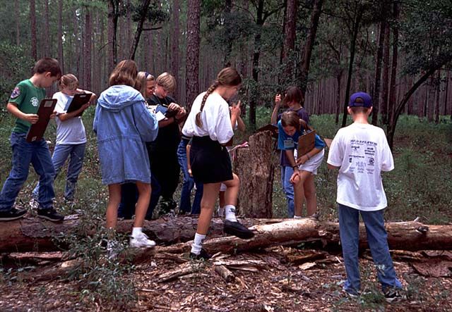 Figure 1. Rotten logs are often full of interesting insects and other small creatures. Outdoor exploration can be a memorable learning experience.