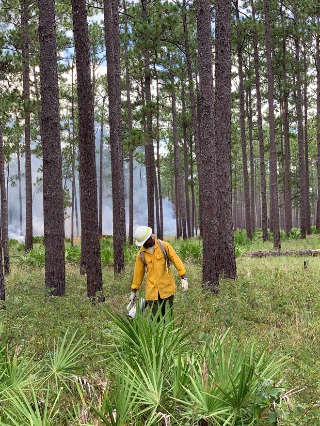 Prescribed fires are carefully planned, lit by trained personnel with adequate and appropriate equipment, and controlled within a designated area. 