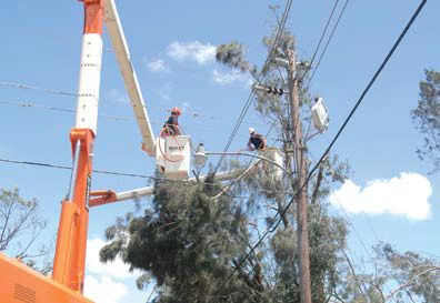 Figure 5. Only qualified line-clearance arborists can work on trees near power lines.