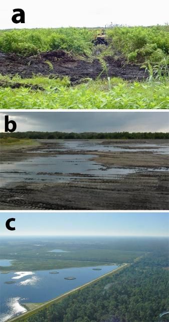 Figure 6. The dredging process at Orlando Easterly Wetlands. a) Machinery removing wetland soil and vegetation; b) this section has become re-flooded after wetland soil and vegetation were removed; and c) aerial view of this section of wetlands over a year after completion of the dredging process.