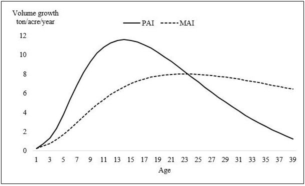 Figure 1. MAI and PAI curves of a slash pine stand.