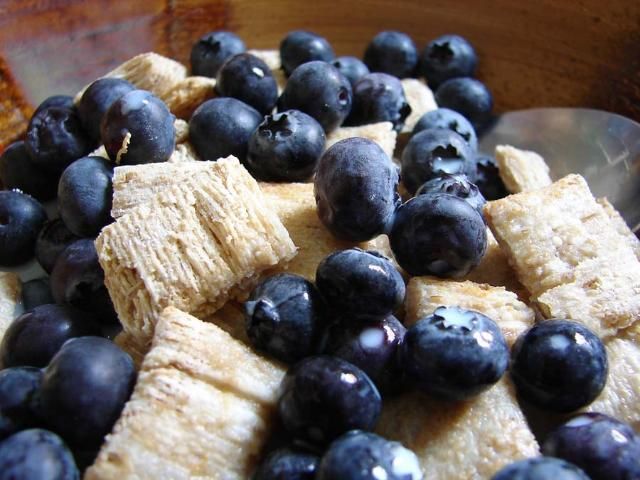 Figure 4. Image of whole-grain cereal topped with blueberries.