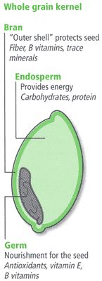 Figure 1. A whole grain kernel consists of three main parts —the fiber-rich bran exterior or outer shell, the starchy endosperm it protects, and the nutrient-packed germ, which provides nourishment for the seed.