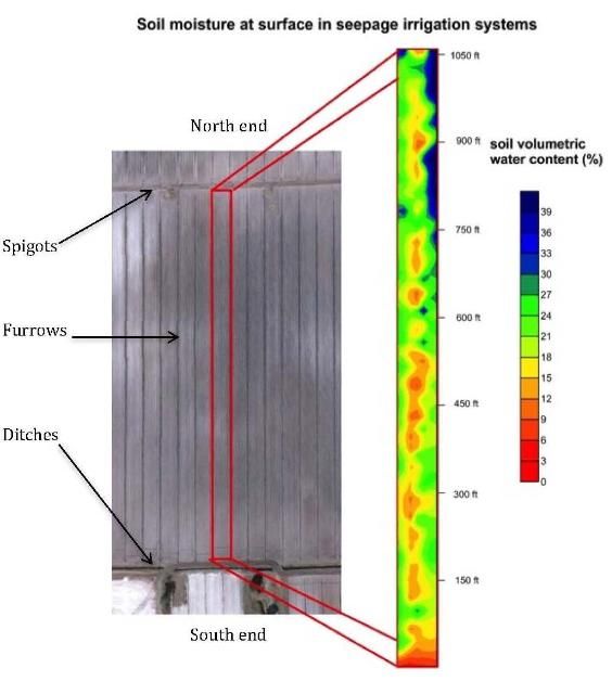 Figure 3. Map of volumetric soil moisture content (% vol/vol [e.g. ft3 of water per ft3 of soil]) at potato root zone 0–8 in. deep in a potato hill. Sampled with a time domain reflectometry (TDR) probe in a seepage irrigation system during potato season in spring of 2012 in Hastings, Florida.