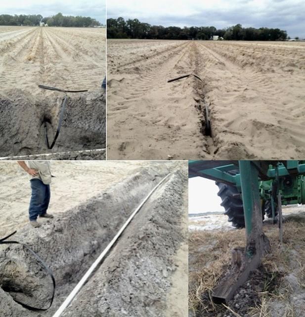 Figure 7. Installation of subsurface drip tape at a depth of 24 in. below the soil surface in a potato field, Hastings, Florida. Upper figures: subsurface drip tape positioning after the installation. Lower left: detail of the manifold (PVC). Lower right: chisel plow adapted for subsurface drip installation.