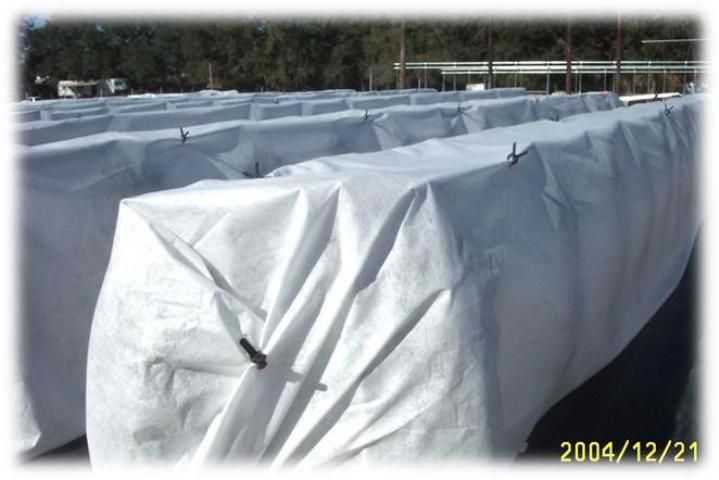 Figure 8. Temporary freeze protection material over vertical hydroponic systems.