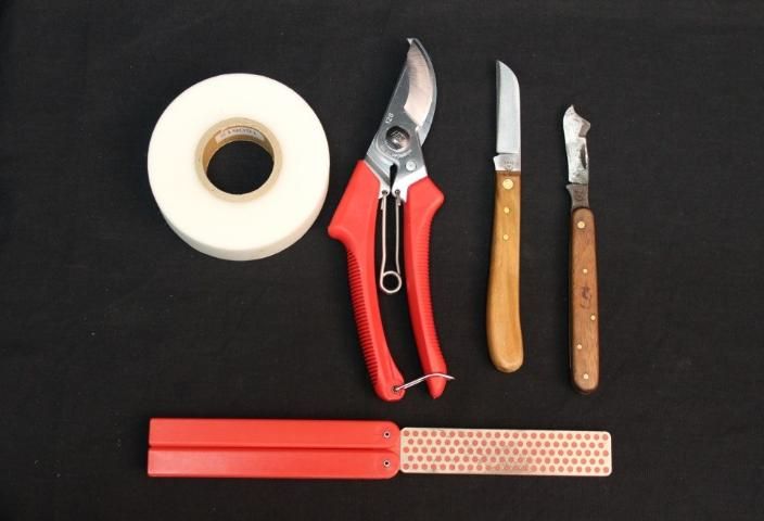 Figure 4. Budding tools. From left to right: budding tape, hand pruner, budding knives. Bottom: sharpening stone.