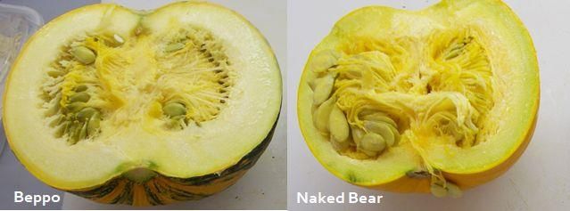 Figure 4. Differences in flesh color between 'Beppo' and 'Naked Bear' cultivars.