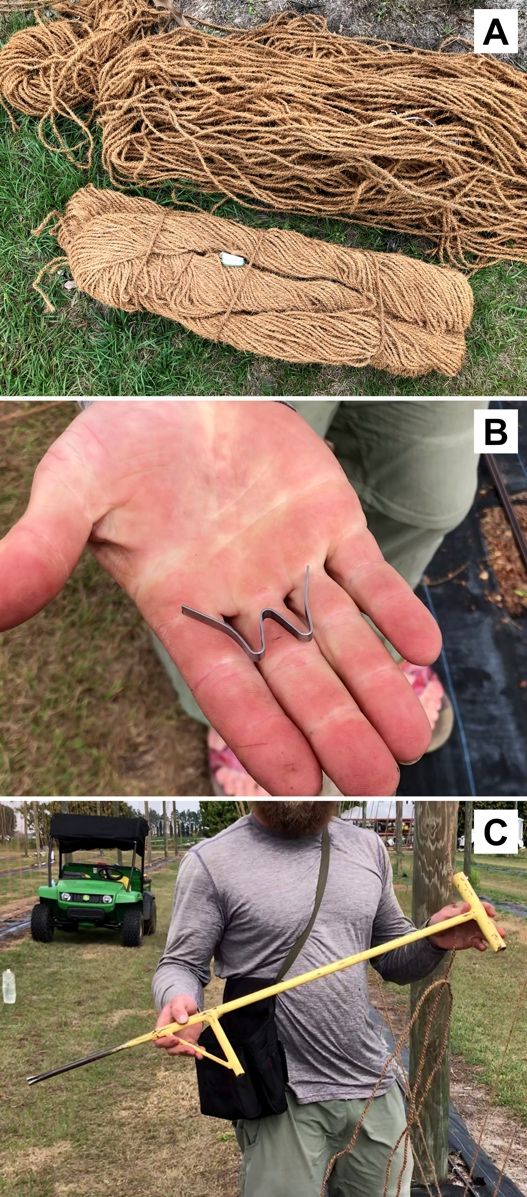 Materials used to install twines in a hopyard: (A) coir twines, (B) W clip, and (C) W clip applicator.