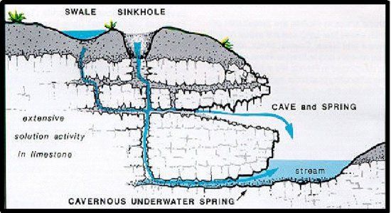 Figure 2. Connection of surface water with groundwater though swales and sinkholes in karst geology found in Florida.