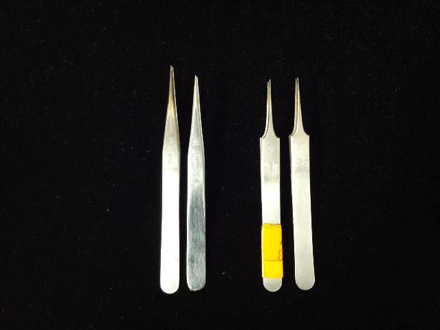 Figure 3. Examples of several pairs of microforceps that could be used for tracheal mite dissections. Although the pairs on the left will be adequate, the pairs on the right will be easier to use because of their more finely pointed tips.
